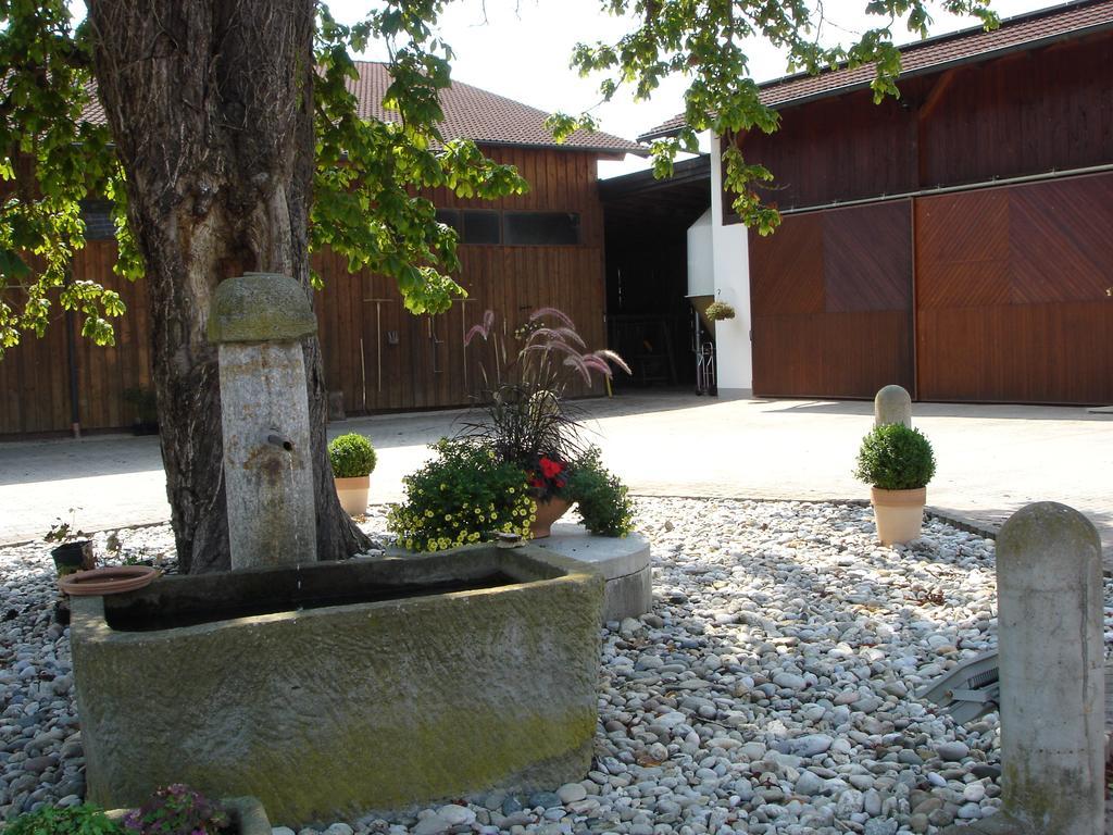 Gaestehaus Wildgehege Wilhelm Екстериор снимка